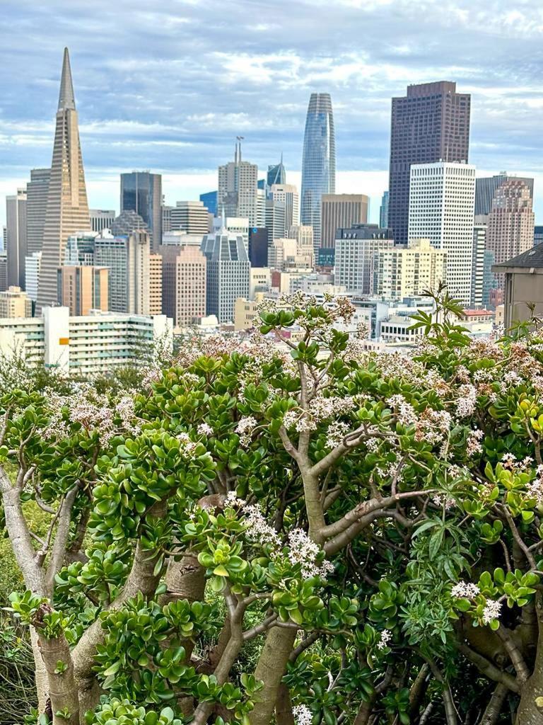Ith San Francisco Pacific Tradewinds Backpacker Hostel Εξωτερικό φωτογραφία